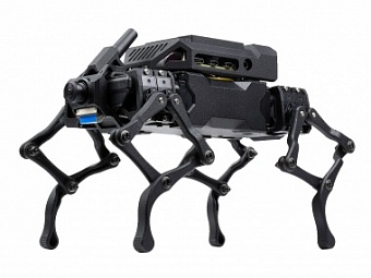 RPI WAVEGO ACCE (UK), 12-DOF Bionic Dog-Like Robot, Open Source for ESP32 And PI4B