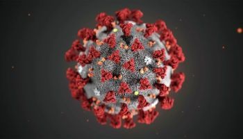 Пандемия коронавирусной инфекции